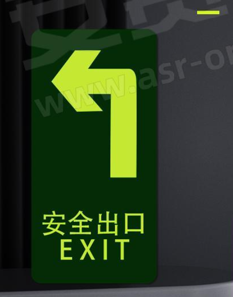  安赛瑞  安全通道标识_箭头向左_295×145MM_10片每包 21620-安全标识