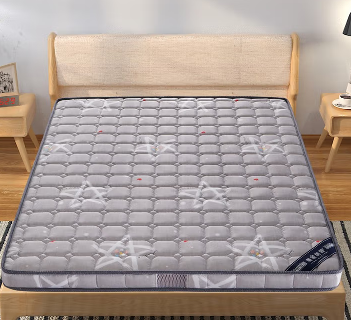 美家创展 椰棕 床垫1.2*2M/3cm-床垫