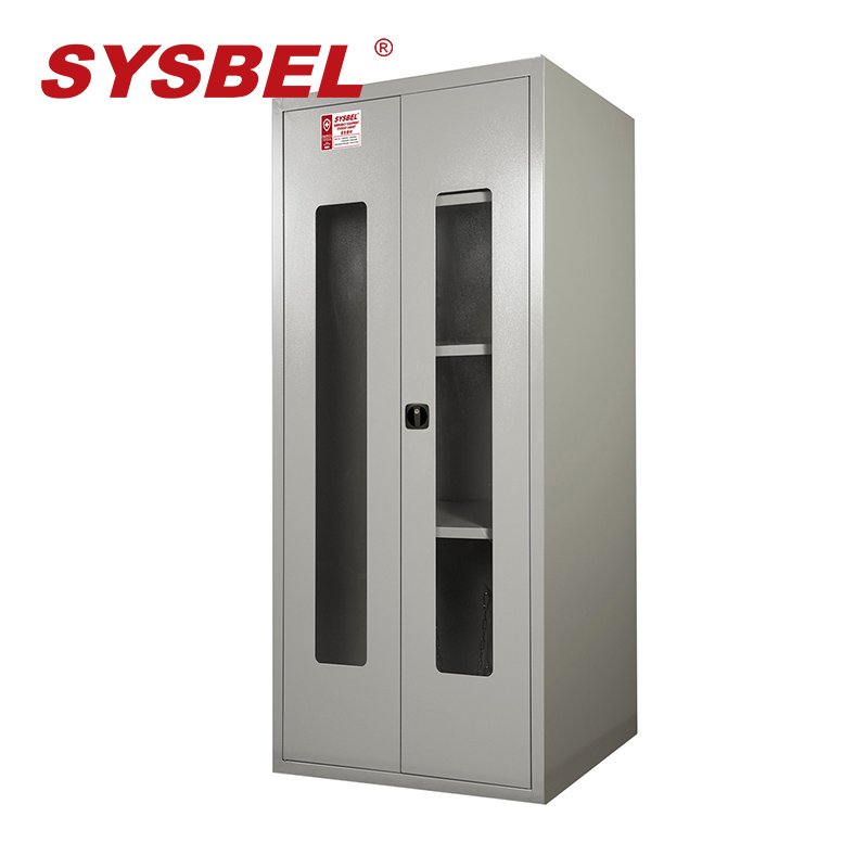 西斯贝尔 WA920450带视窗紧急器材柜 (PPE柜)45Gal-白色