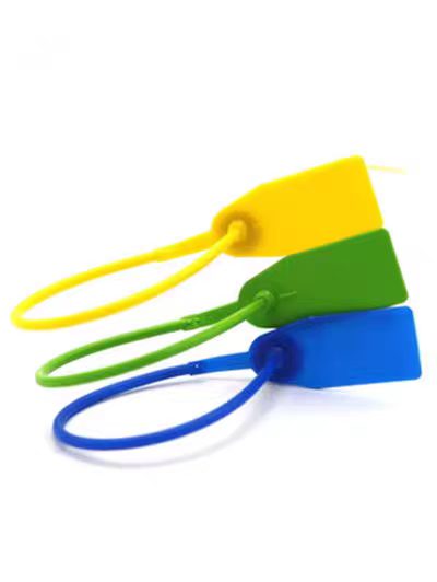 宝世安 塑料铅封 蓝色 30CM-1*2