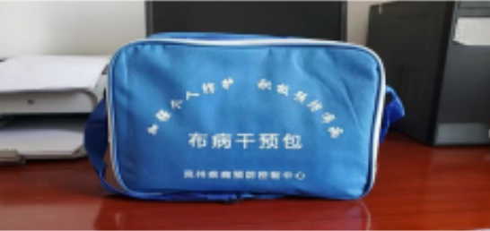 国产普通 可手提可肩背防水牛津布 长32cm宽25cm厚12cm（蓝色）-1〃