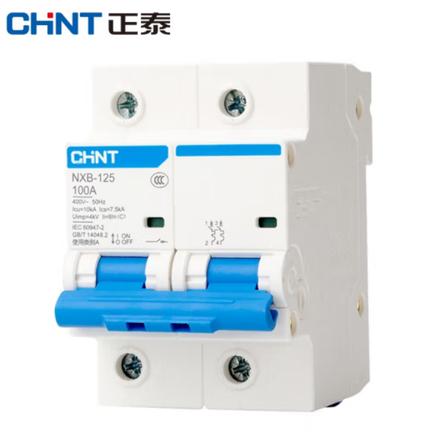 正泰 NXB-125 2P C100 微型断路器-个