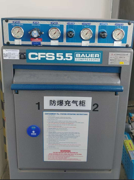 宝华 CFS5.5-2S （双工位防爆充气柜）-台
