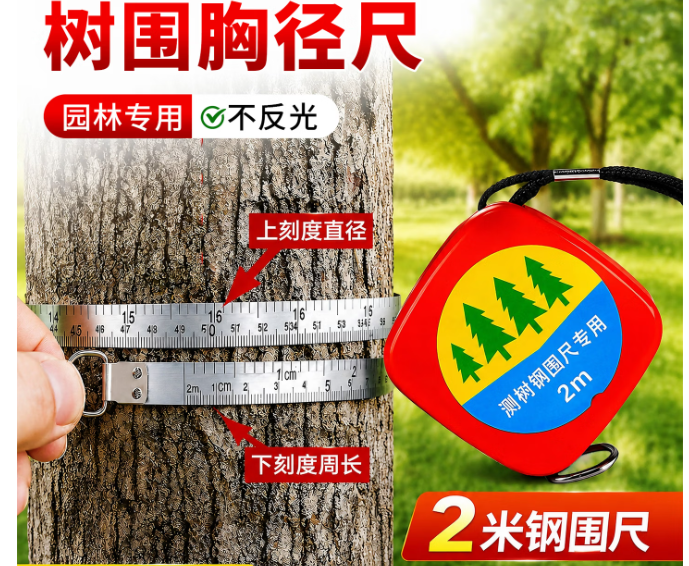 伯惠达 不锈钢量树胸径尺 2米-把
