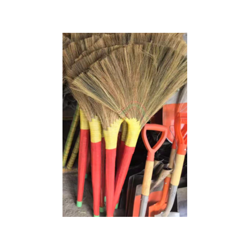 卫益升 凤尾扫把包皮