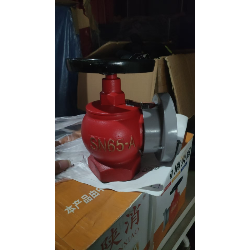 陕消 室内消火栓 普栓 SN65-A