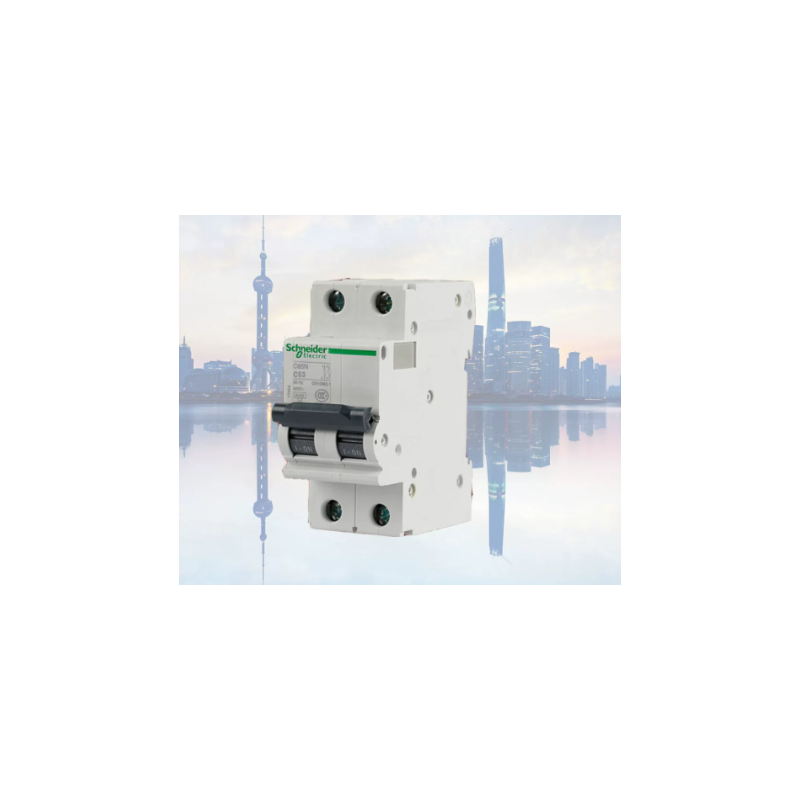 施耐德 A9F19210 | iC65N 2P D10A 断路器