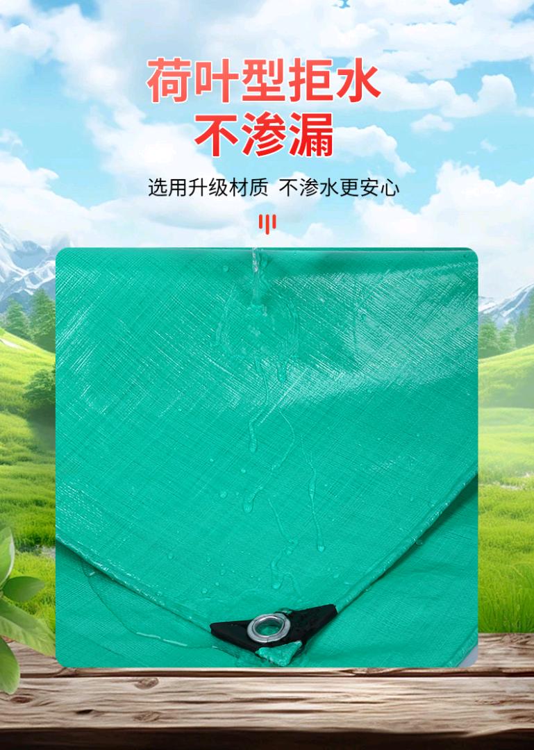 振飞 180型双绿 双绿篷布-PE
