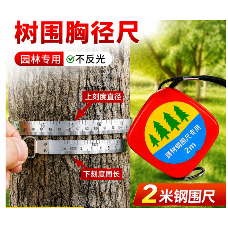 伯惠达 不锈钢量树胸径尺 2米