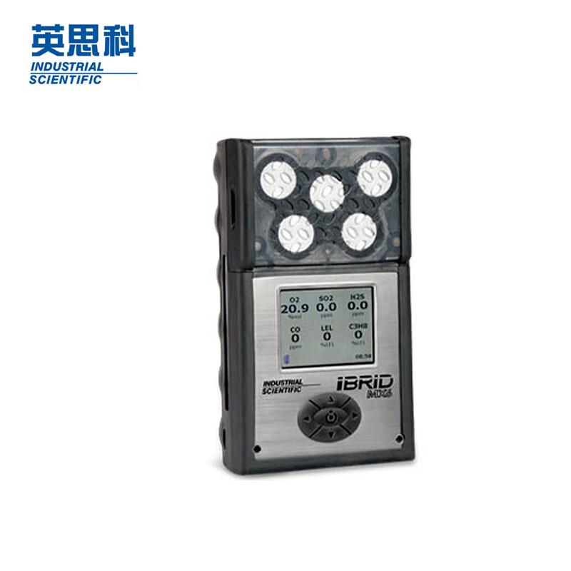 英思科 MX6-K1230201 多气体检测仪 可测LEL(C5H12)/CO/H2S/O2