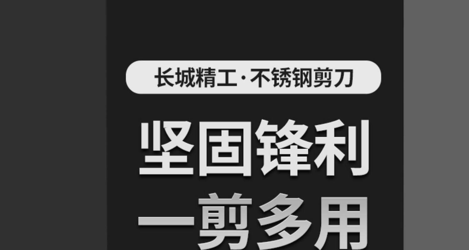 长城 410908 不锈钢剪刀 不锈钢材质-8英寸