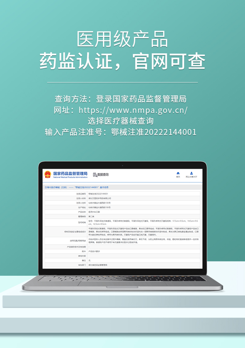仙万里 WLM2002S 耳挂式医用外科口罩(灭菌级) 蓝色 纸塑袋装 10只/袋-耳戴式