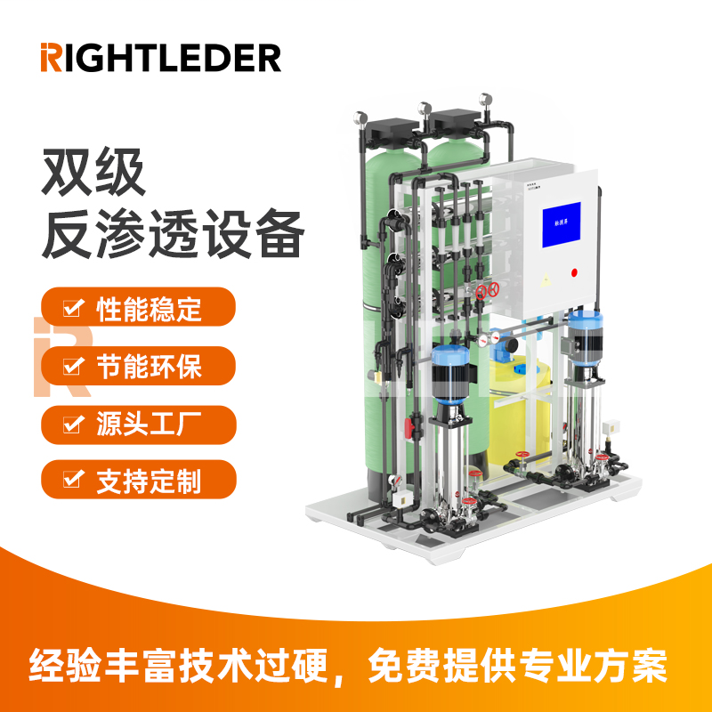 莱特莱德（RIGHTLEDER）Ryperm-D-5商用纯水标准可定制水处理双级RO反渗透设备 