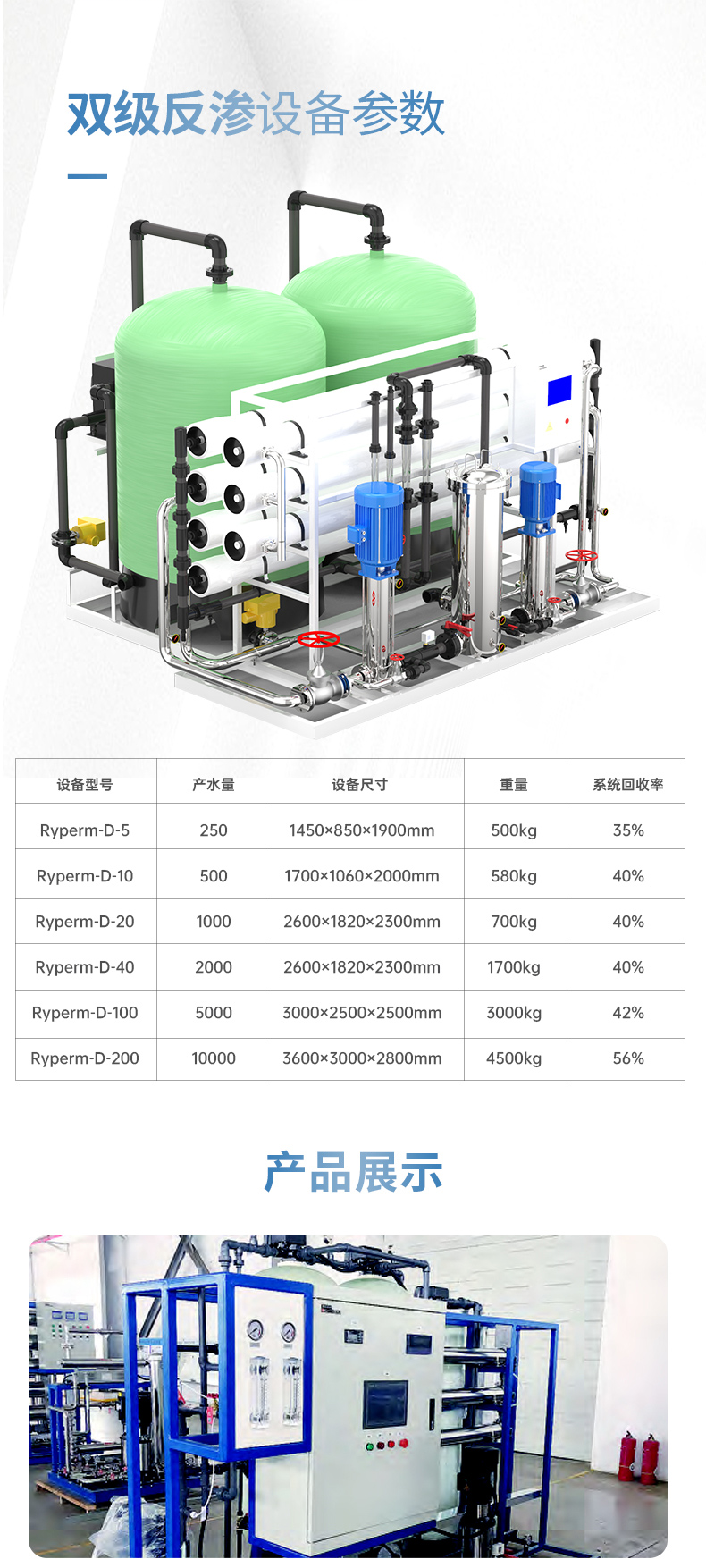 莱特莱德（RIGHTLEDER）Ryperm-D-100 商用纯水标准可定制水处理双级RO反渗透设备 绿色