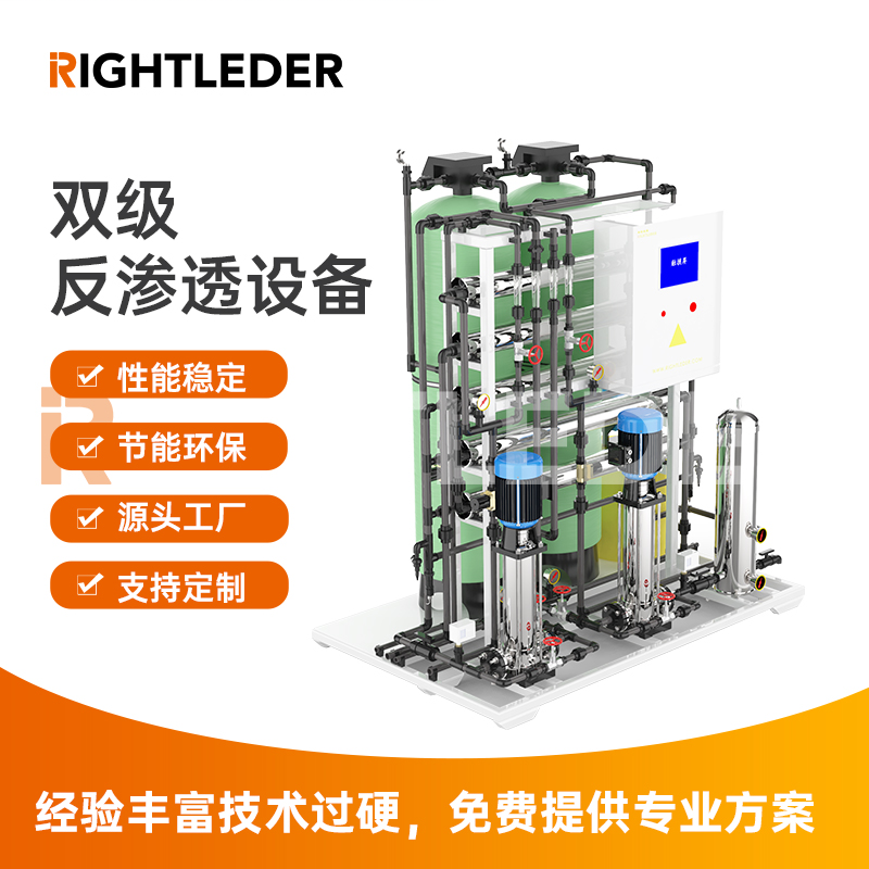 莱特莱德（RIGHTLEDER） Ryperm-D-10商用纯水标准可定制水处理双级RO反渗透设备 