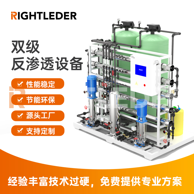 莱特莱德（RIGHTLEDER）Ryperm-D-20商用纯水标准可定制水处理双级RO反渗透设备 