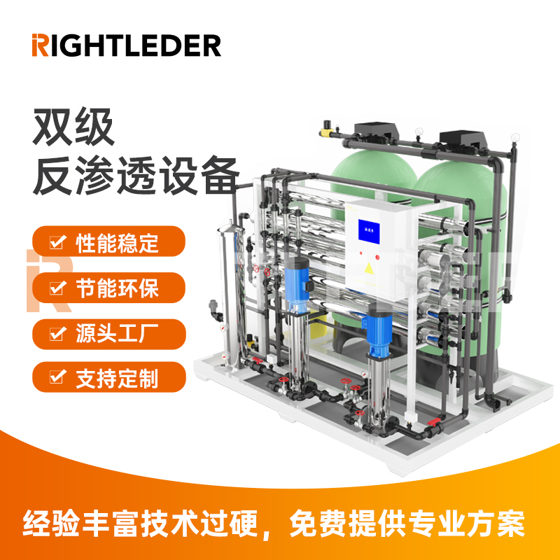 莱特莱德（RIGHTLEDER）Ryperm-D-40商用纯水标准可定制水处理双级RO反渗透设备 