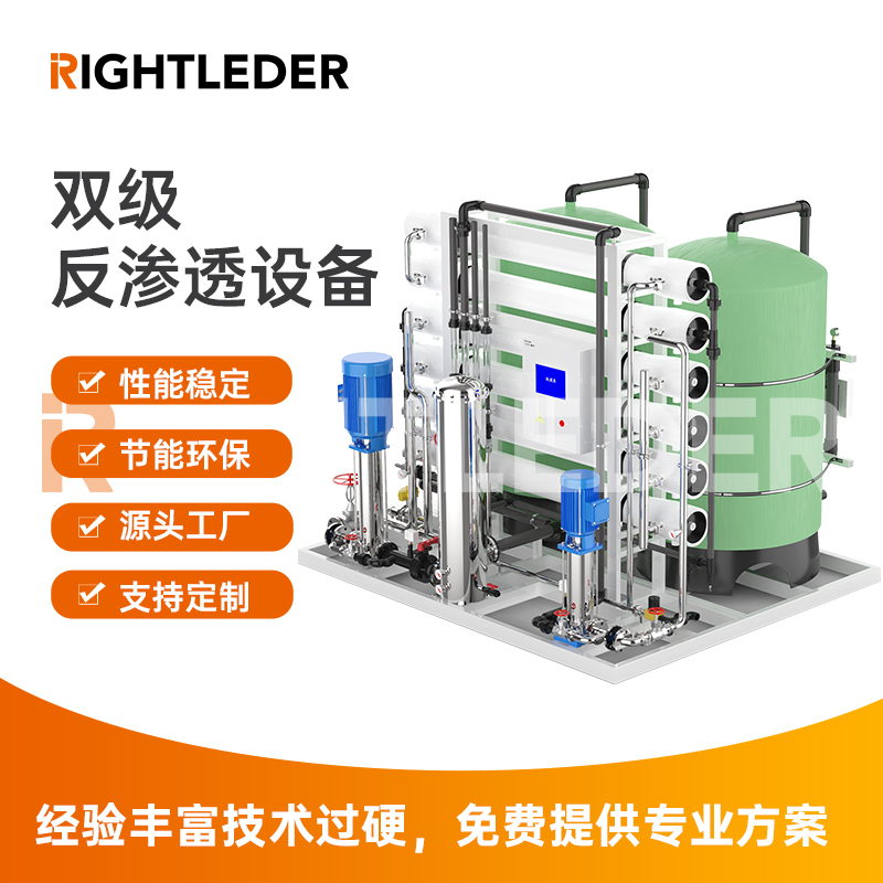 莱特莱德（RIGHTLEDER）Ryperm-D-100 商用纯水标准可定制水处理双级RO反渗透设备 