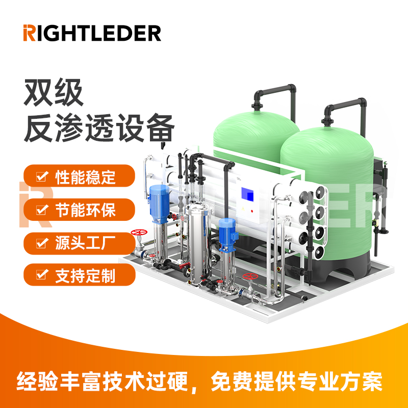 莱特莱德（RIGHTLEDER）Ryperm-D-200 商用纯水标准可定制水处理双级RO反渗透设备 