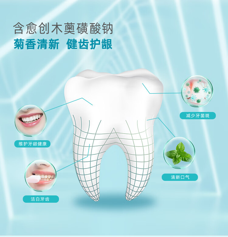 纳爱斯 牙膏清凉冰菊香型 120g-120g