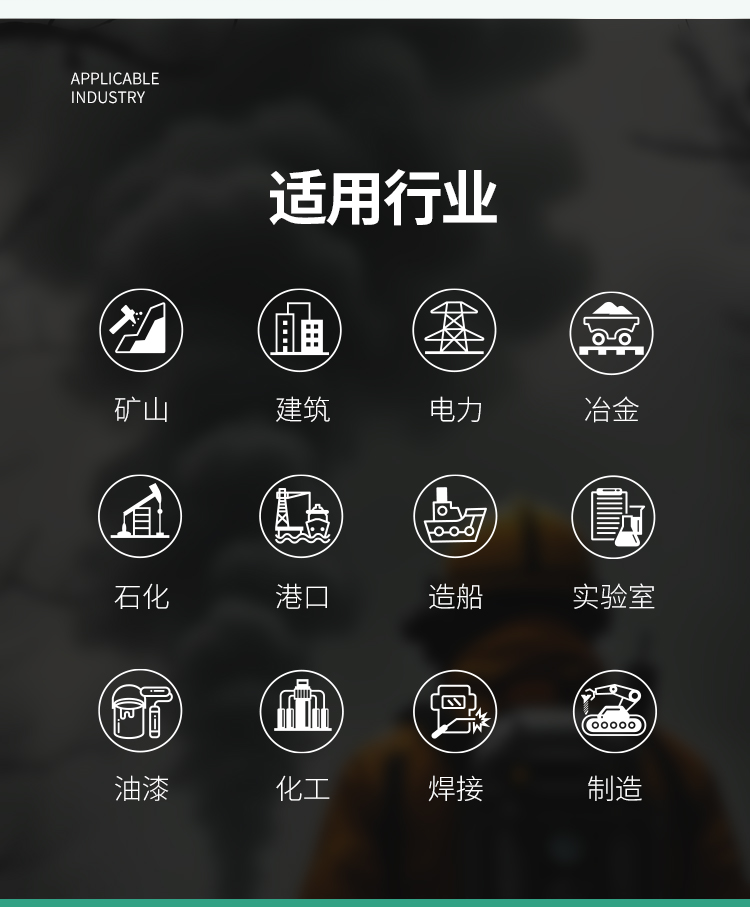 唐丰 TF-AL 型大视野全面罩-全面具