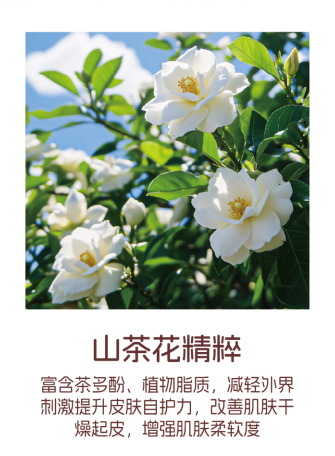 浅香 QX 山茶花精粹-1.38kg