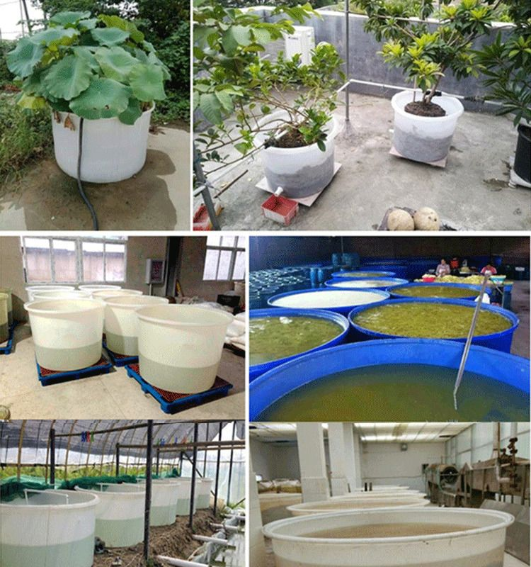 中润  M5000 加厚平底圆桶 塑料牛筋圆桶发酵酿酒养殖腌菜储水桶-白色