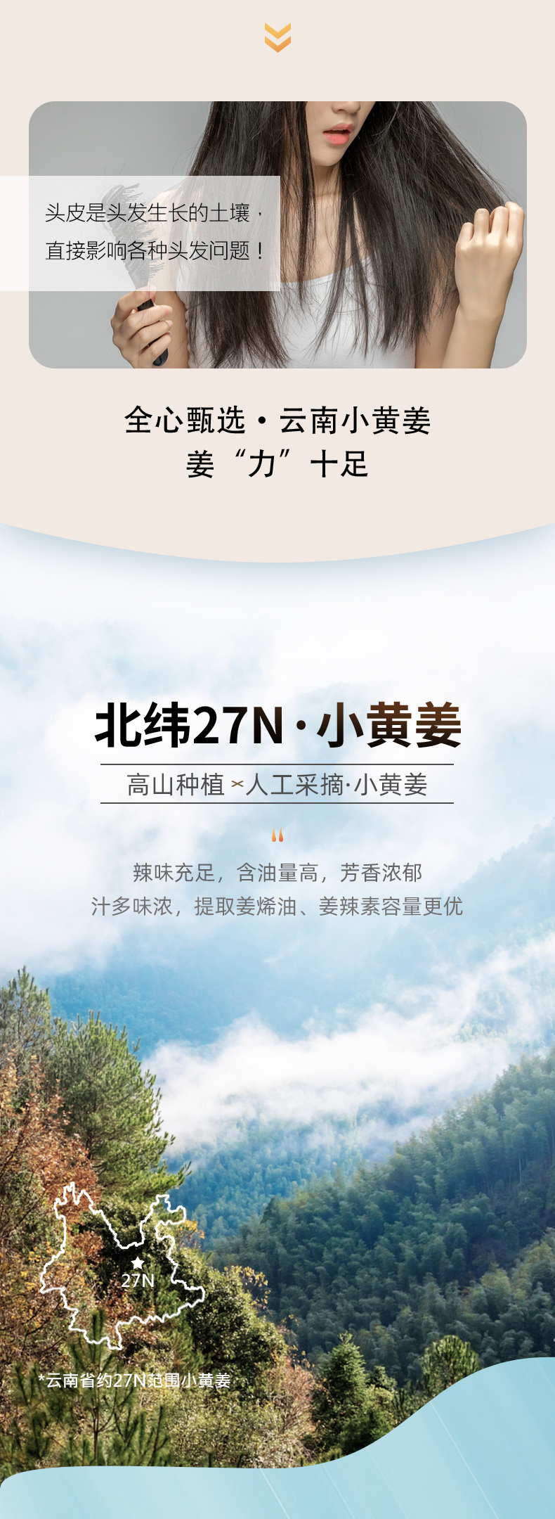 澳雪 控油去屑 洗发水-500ml