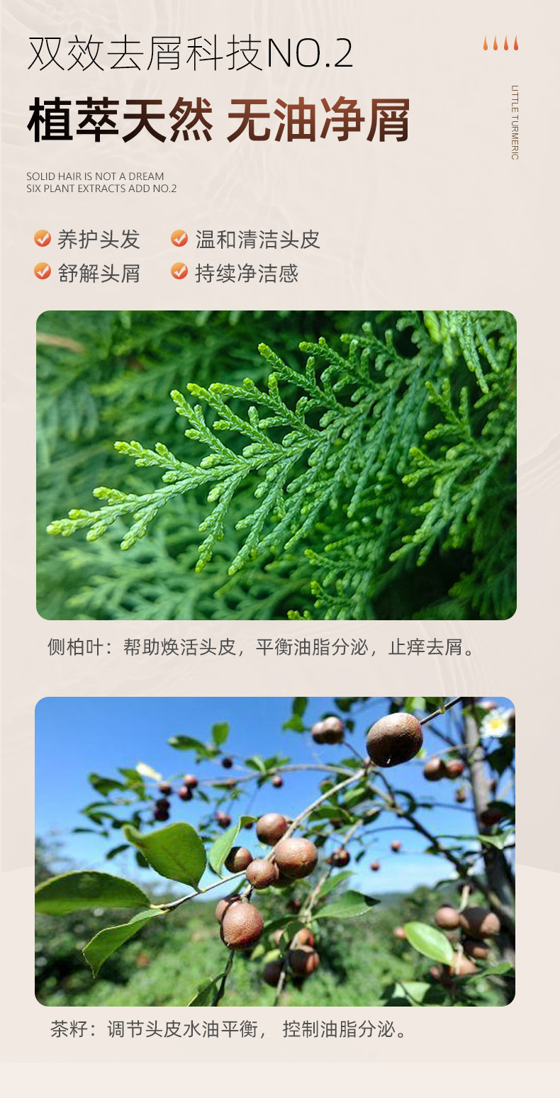 澳雪 控油去屑 洗发水-500ml